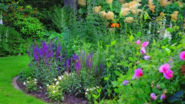 Por qué y cómo construir tu propio jardín de lluvia en la ciudad